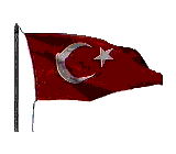 Turkish Flag